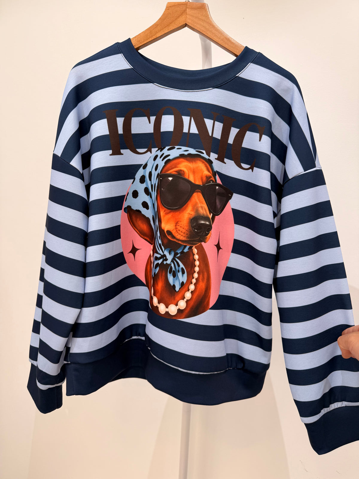 Sudadera perro con gafas e inscripción "ICONIC" 23396