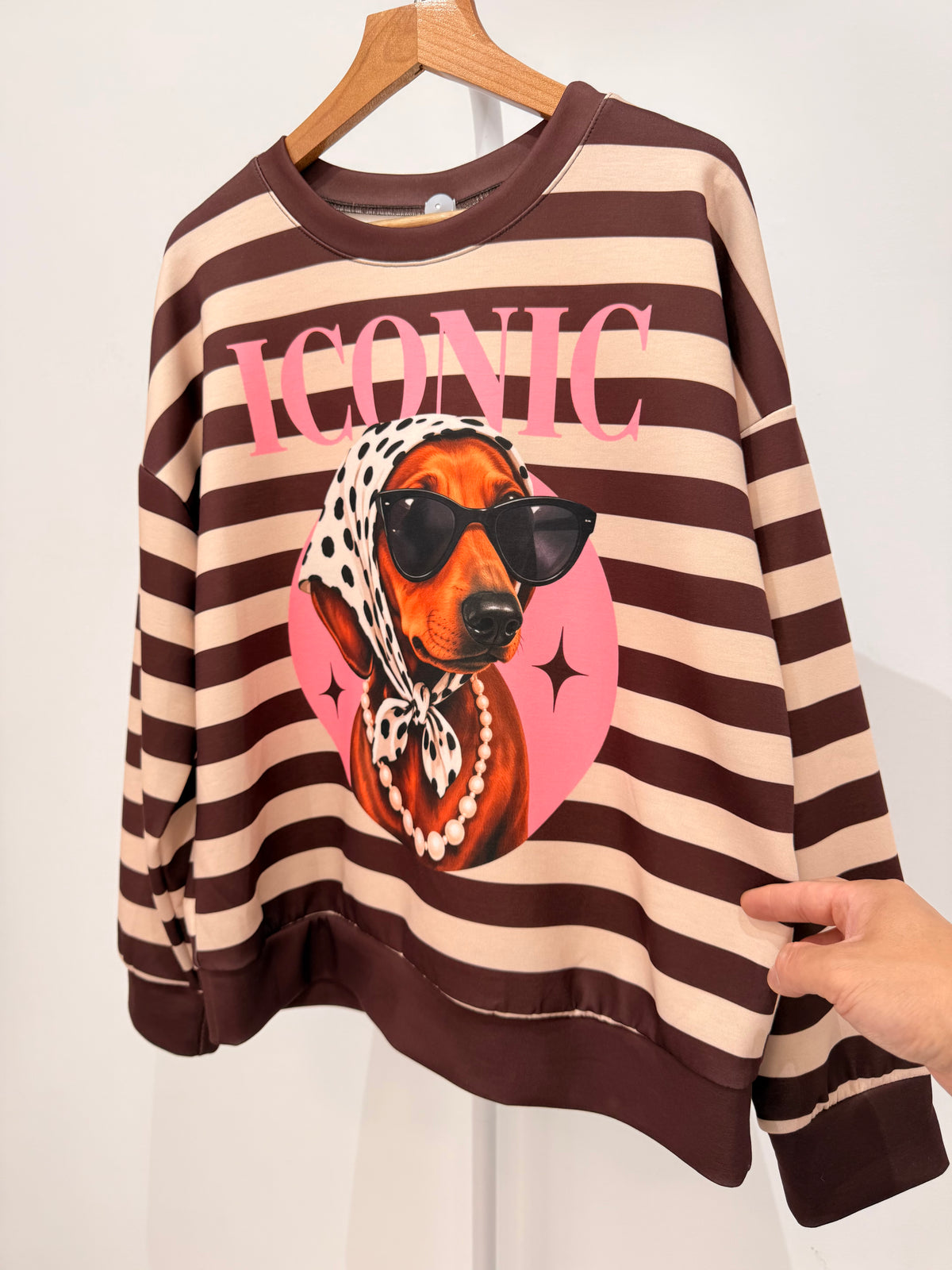 Sudadera perro con gafas e inscripción "ICONIC" 23396
